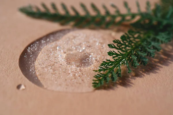 Una gota de gel cosmético sobre un fondo beige rodeado de plantas y hojas. — Foto de Stock