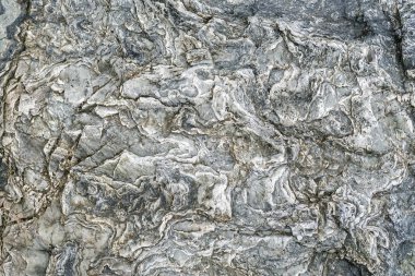 Eski bir deniz taşının kayalık dokusu..