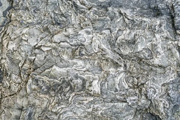 Eski bir deniz taşının kayalık dokusu..