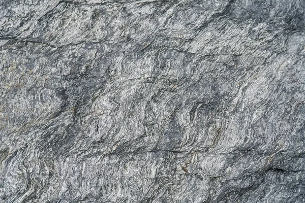 Eski bir deniz taşının kayalık dokusu.. — Stok fotoğraf