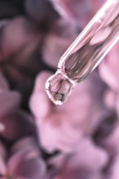 Una goccia di olio cosmetico cade dalla pipetta su uno sfondo floreale viola. — Foto Stock