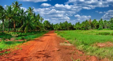 Rural plantations in countryside of Cambodia clipart