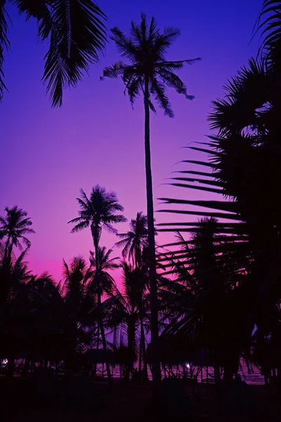 Palm trees at red, purple sunset at a beach in Asia