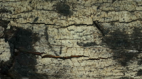 Background wood grain patterns