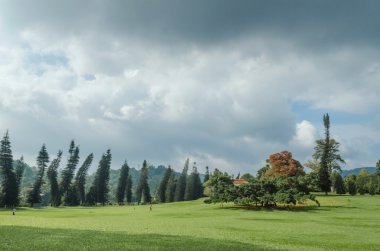 Kraliyet Botanik Bahçe Peradeniya