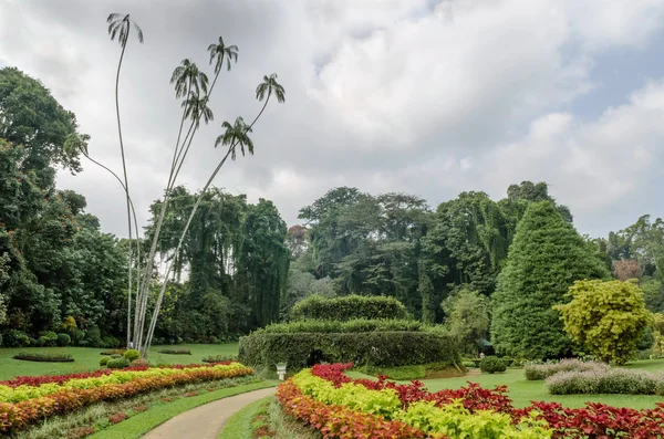 Paisaje en Jardín de Peradeniya —  Fotos de Stock