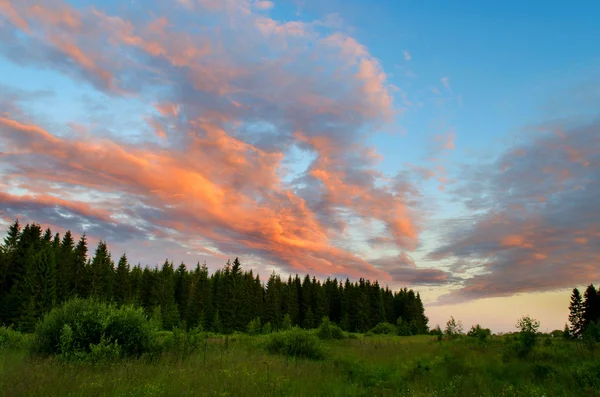 Abendhimmel über dem Wald — Stockfoto