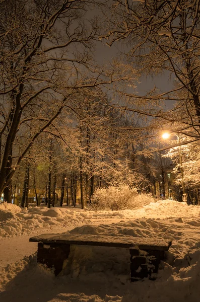 겨울 공원 벤치 — 스톡 사진