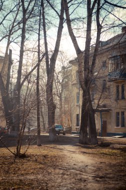 Sabah bahar bahçesinde ışığı