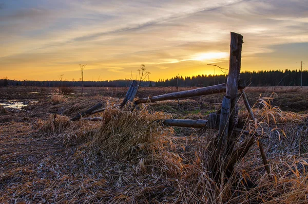 Sonnenuntergang über einem Frühlingsfeld — Stockfoto