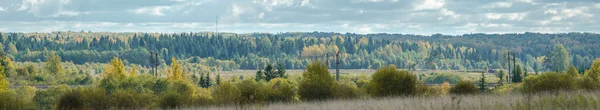 Ferrovia nella foresta autunnale . — Foto Stock