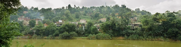 Panorama do rio na selva — Fotografia de Stock