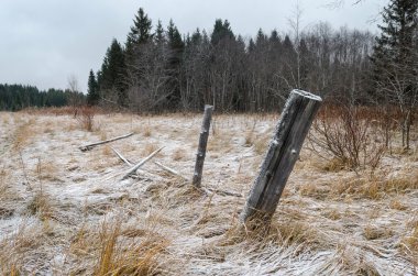 Ormandaki eski çitler