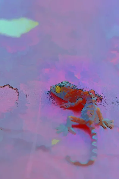 Ritning Gecko Sekt Golvet — Stockfoto