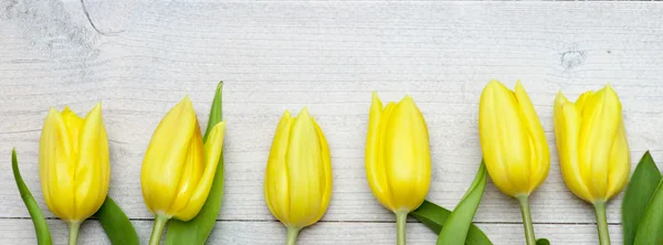 Lale Beyaz ahşap zemin üzerinde bir dizi