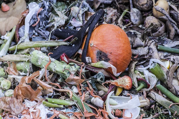 Gübre yığınının birkaç çürüyen sebze ve meyve ile