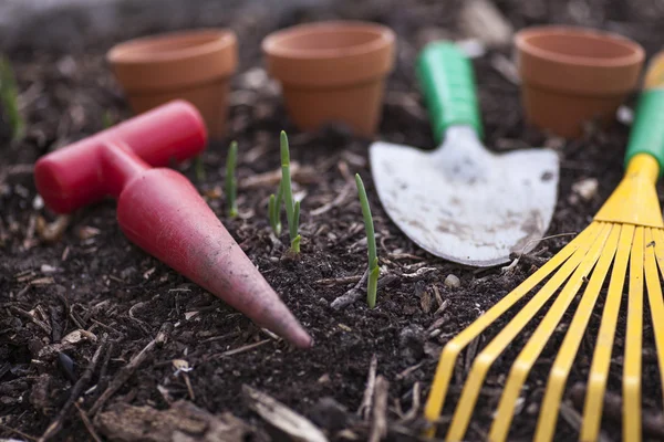 Bir sebze yama kurma.