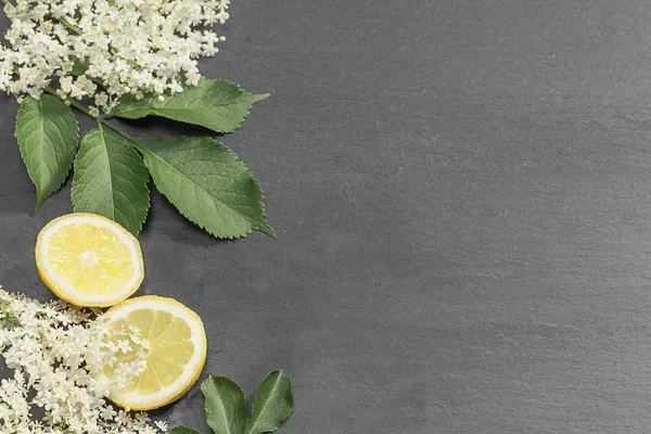 Elderflowers, yapraklar ve Antrasit arka plan üzerine dilimlenmiş limon