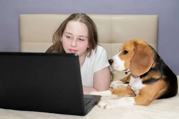 Freelancer using laptop for working, dog next to her.