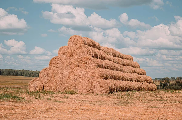 Landschaft mit Strohballen im Sommer, Stoppelfeld. — Stockfoto