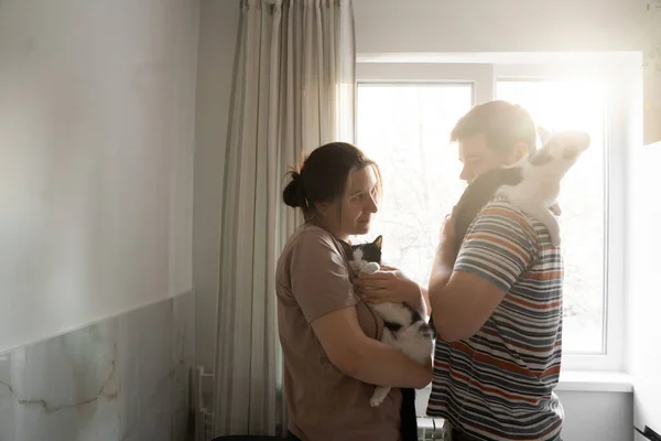 Mutfakta durup birbirlerine bakarken siyah beyaz kedilerini tutan mutlu ailenin yan görüntüsü. Sevimli siyah beyaz kediler güzel bir çiftin ellerinde oturuyor. Stok fotoğrafı