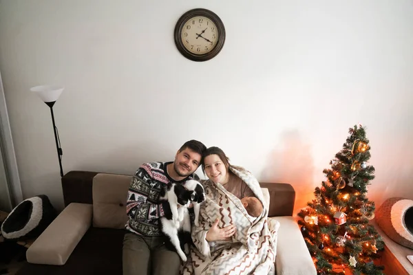 Kanepede otururken mutlu bir ailenin yeni doğan çocuğuyla bağ kurmasının yüksek açılı görüntüsü. Esmer adamın ellerinde oturan sevimli siyah beyaz bir kedi. Stok fotoğrafı