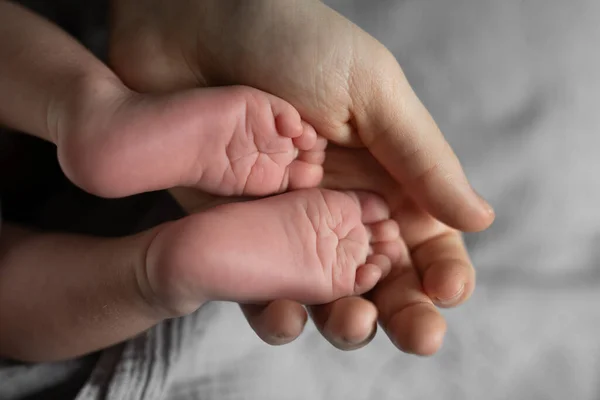 Anne sevgisi. Kafkasyalı annenin, yeni doğmuş oğlunun bacaklarını tutarken onunla kanepede vakit geçirmesini yakından izleyin. Annelik kavramı. Stok fotoğrafı