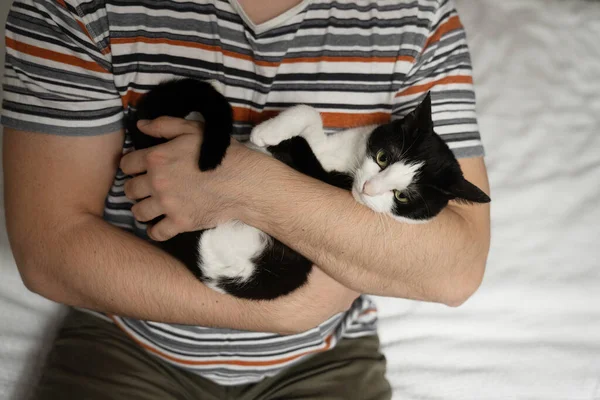 Yatakta otururken mutlu bir adamın kedileriyle bağ kurduğu yüksek açılı görüntü. Adamın elinde oturan sevimli siyah beyaz bir kedi gibi. Stok fotoğrafı