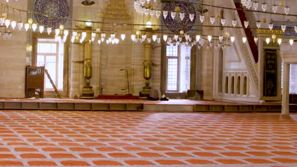 Mesquita Azul Vista Interior Istambul Turquia — Vídeo de Stock