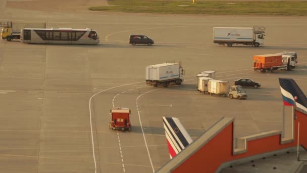 Usługi transportu samolot przejściem na lotnisko Moskwa-Szeremietiewo — Wideo stockowe