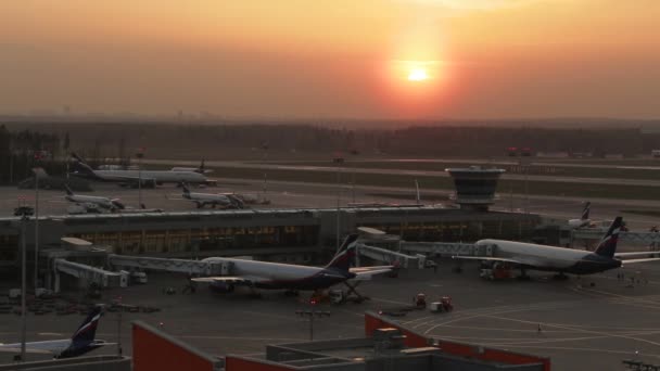 Sheremetjevo flyplass kveld utsikt ovenfra ved solnedgang – stockvideo