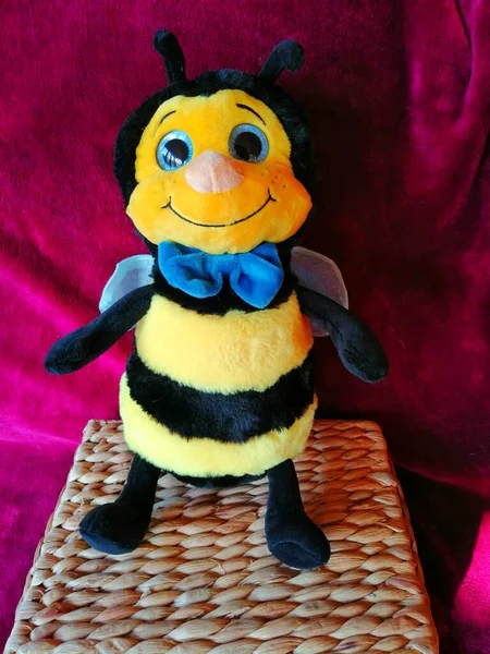 Bee Boy Joli Jouet Peluche Sous Forme Petit Garçon Abeille — Photo