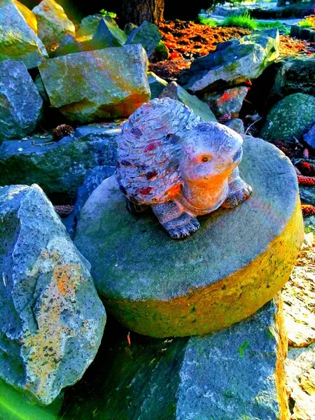 Yuvarlak Bir Kaidede Kaplumbağa Yuvarlak Bir Kumtaşı Öğütme Çarkındaki Şirin — Stok fotoğraf