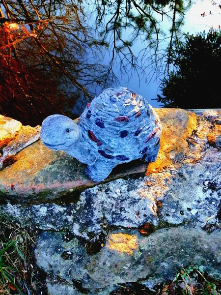 Tartaruga Aquática Uma Bela Estátua Pedra Uma Tartaruga Que Faz — Fotografia de Stock