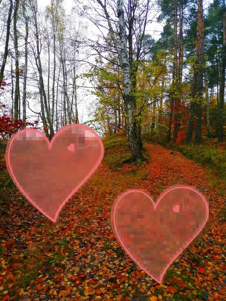 Love Forest Two Loving Ethereal Light Hearts Come Together Dance — Stock Photo, Image