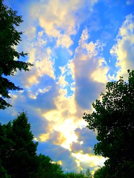 Sunset Trees Clouds Sky Illuminated Setting Sun — Stok fotoğraf