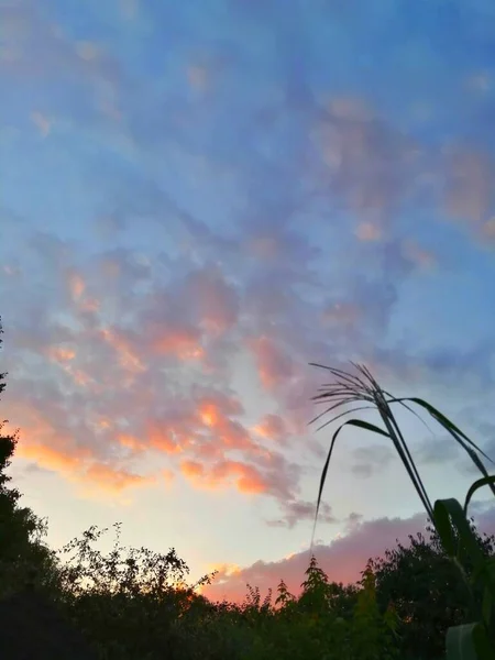 オレンジの小さな雲 夕日は青空を向き 上の小さな雲はオレンジ — ストック写真