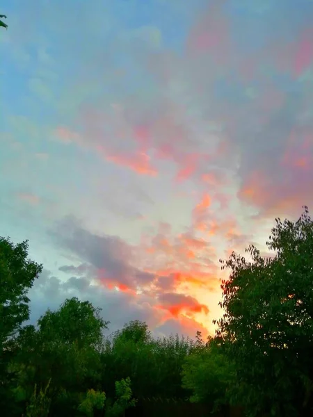 Ранний Вечер Закатом Зеленый Цвет Вечернем Свете Заходящее Солнце Заднем — стоковое фото