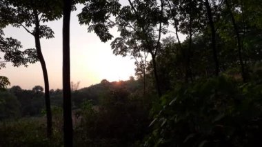 Demirhindi karıncaları kafesin dışında nöbet tutar.