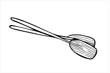 Siyah ve beyaz olarak elle çizilmiş vektör illüstrasyonu