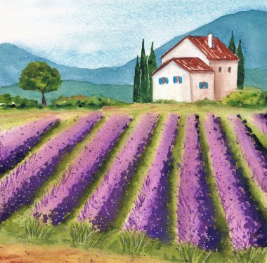 Kırsal bir evi, lavanta tarlası, dağları ve selvileri olan Provence manzarası. Suluboya resim