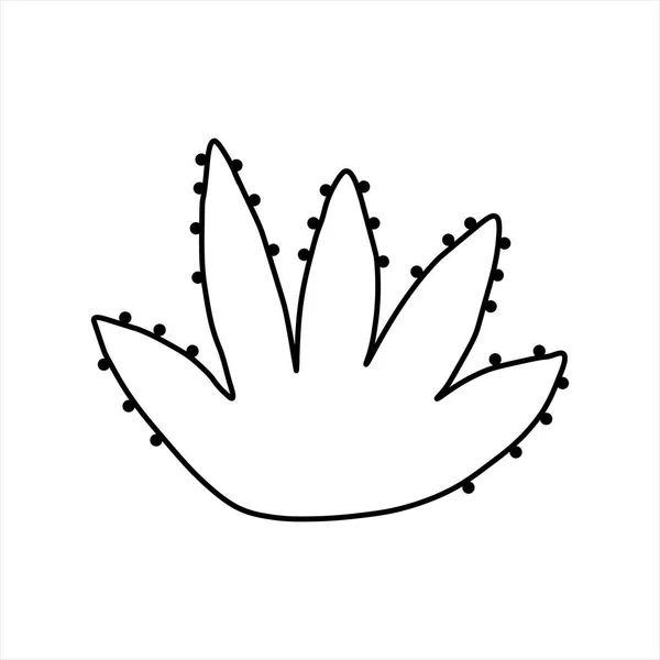 Jednoduchá Ručně Kreslená Vektorová Ilustrace Kaktus Černobílá Kresba — Stockový vektor