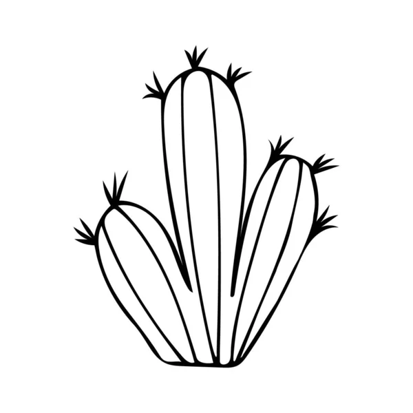 Einfache Vektorillustration Kaktus Schwarz Weiß Zeichnung — Stockvektor