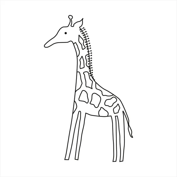 Simple Vector Illustration Giraffe Wild Animal Black White Drawing — Vector de stock