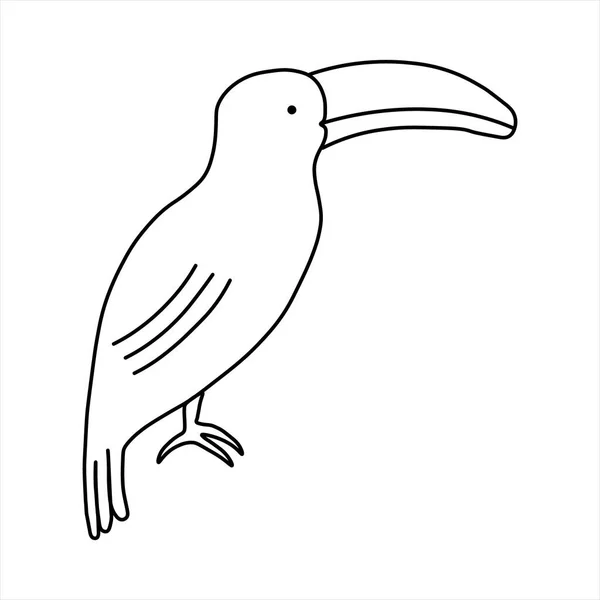 Ilustração Vetorial Simples Desenhada Mão Toucan Pássaro Selvagem Africano Desenho — Vetor de Stock