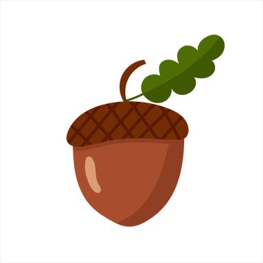 Yeşil yapraklı meşe palamudu, beyaz arkaplanda izole edilmiş düz vektör çizimi