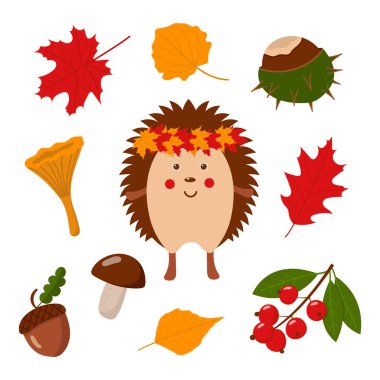 Tatlı kirpi, sonbahar koleksiyonu, beyaz arka planda izole edilmiş düz vektör çizimleri olan sonbahar çizimleri.