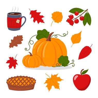 Hoş sonbahar çizimleri, sonbahar koleksiyonu, beyaz arkaplanda izole edilmiş düz vektör çizimleri
