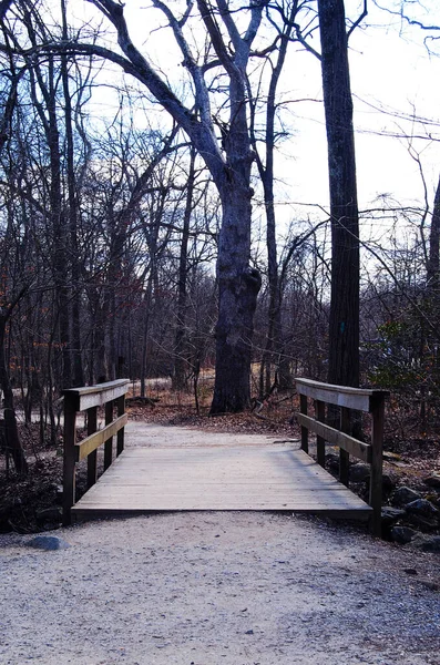Kışın ormanların arasında tahta bir köprü