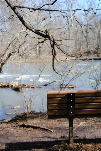 Nehre bakan tek bir bank